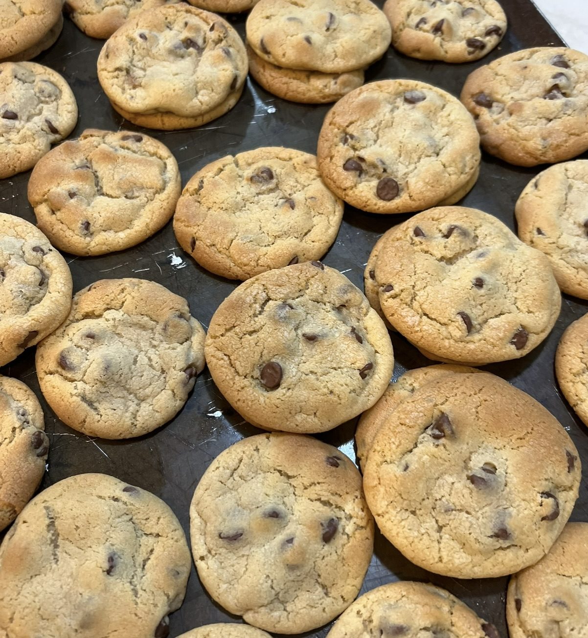 Chocolate chip cookies